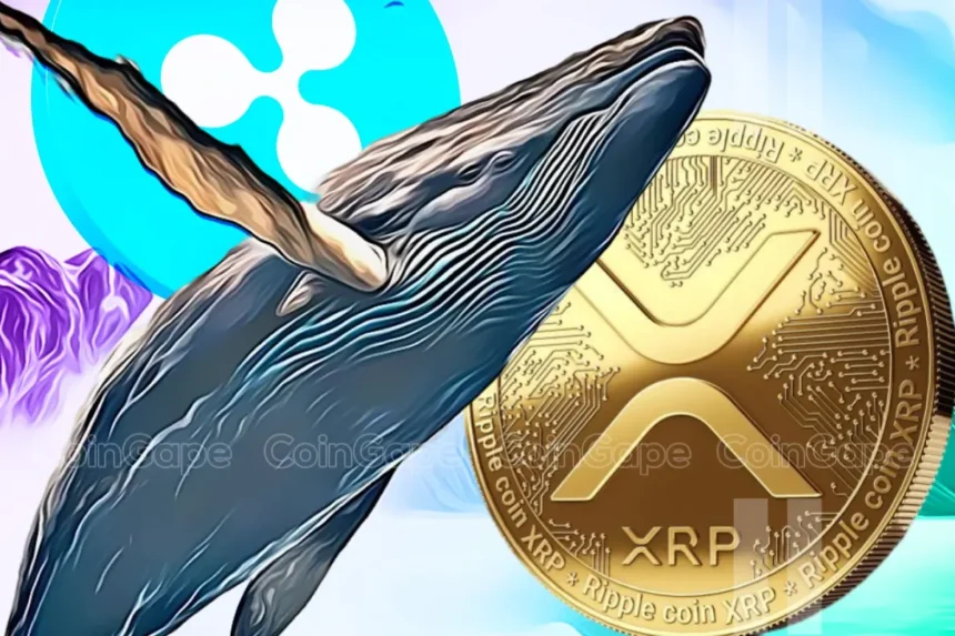 XRP Whales Move 139M Coins As Ripple Case Near Potential End