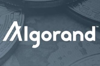 ALGO Activity Surges: Can Traders Capitalize on Algorand’s Rally?