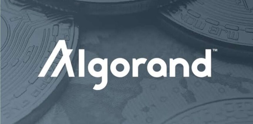 ALGO Activity Surges: Can Traders Capitalize on Algorand’s Rally?