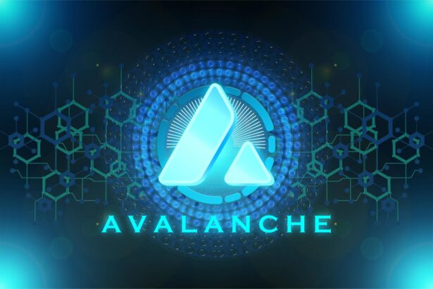 Avalanche in Spotlight After Trump Discussions—Can AVAX Rally?