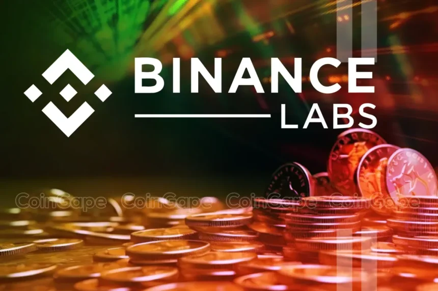 Binance Labs Dumps This Crypto Token Worth Millions