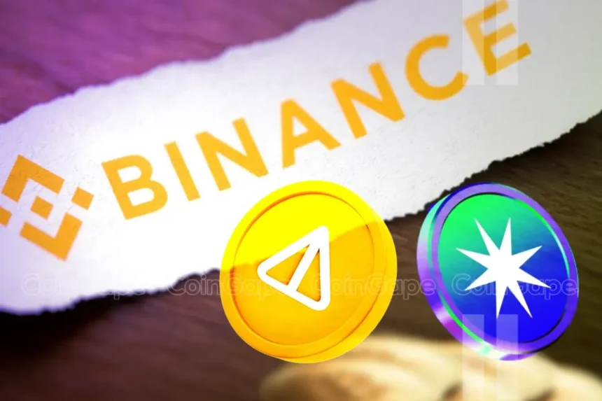 Binance Reveals Vital Update On NOT, RDNT & These Crypto, Brace For Impact