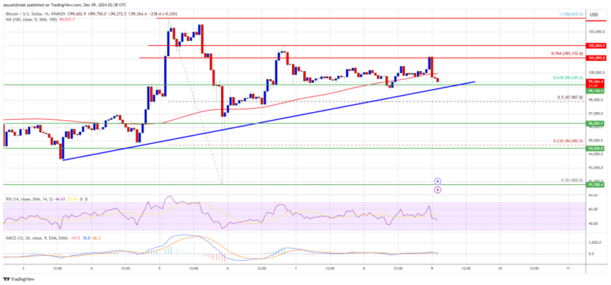 Bitcoin Price At Crossroads: Will It Stabilize and Surge Again?