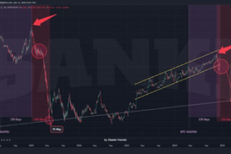 Bitcoin Price Dominance And Altcoin Season: What The Sudden Volatility Means For The Market