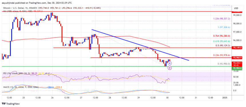 Bitcoin Price on the Brink: Could a Deeper Drop Be Ahead?