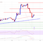 Bitcoin Price Roars Back: Recovery After Sharp Correction