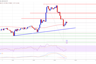 Bitcoin Price Roars Back: Recovery After Sharp Correction