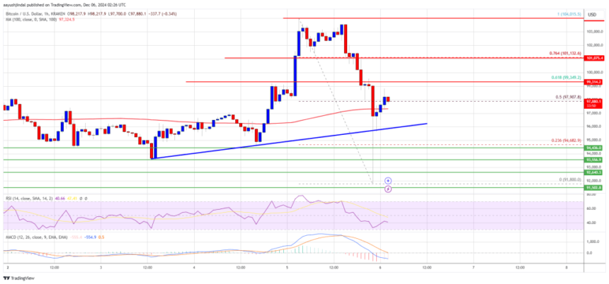 Bitcoin Price Roars Back: Recovery After Sharp Correction