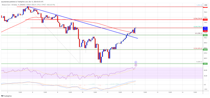 BNB Bulls Eye $750: Momentum Builds for a New Surge