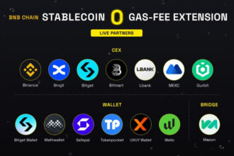 BNB Chain Extends 0 Gas Fee Campaign By 3 Months To Drive Stablecoin Adoption