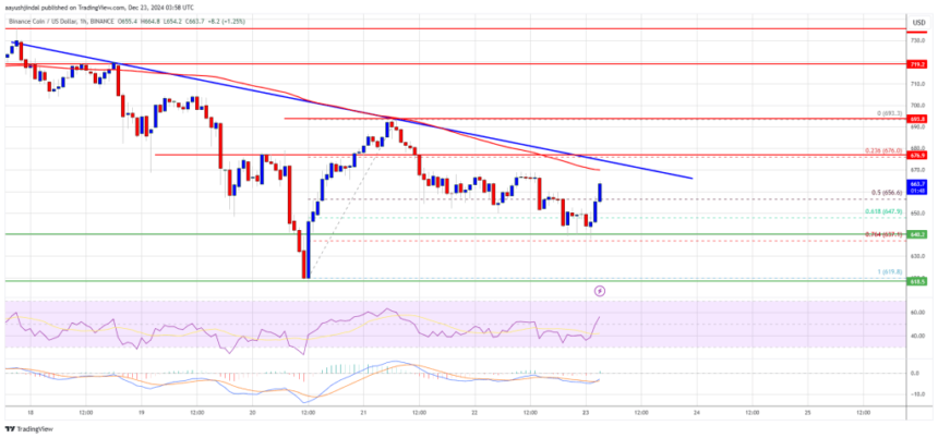 BNB Steadies Above Support: Will Bullish Momentum Return?