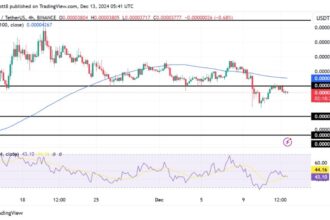 BONK Struggles To Sustain Gains As Selling Pressure Mounts