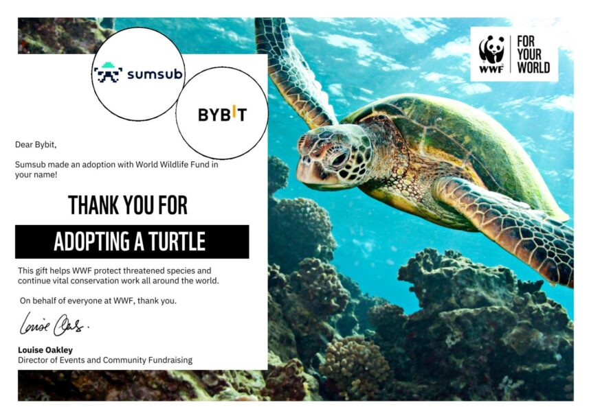 Bybit Supports Wildlife Conservation Through Sea Turtle Adoption Initiative with Subsum