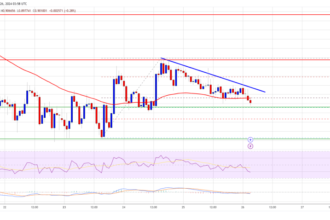 Cardano (ADA) Struggles to Hold Ground: Another Drop Incoming?