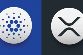 Cardano Founder Highlights Ripple’s Progress, Foresees Growth for XRP and ADA