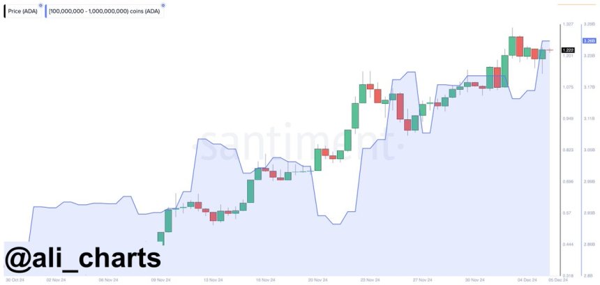 Cardano Whales Keep Buying – Price Holds Above Crucial Mark