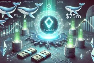 Chainlink Metrics Show $75M Outflow: Growing Whale Interest in LINK