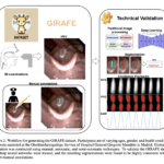 Deep Learning and Vocal Fold Analysis: The Role of the GIRAFE Dataset