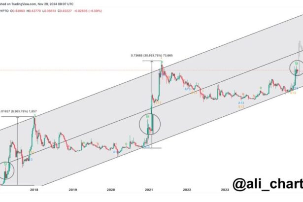 Dogecoin Consolidates Below Key Supply Level – Analyst Expects Rally Soon