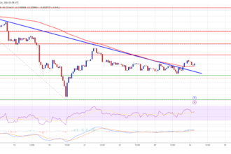 Dogecoin (DOGE) Hints at Revival: Can It Defy The Odds?