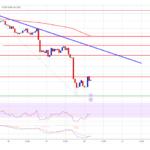 Dogecoin (DOGE) Plummets: Bears Take Full Control of the Market