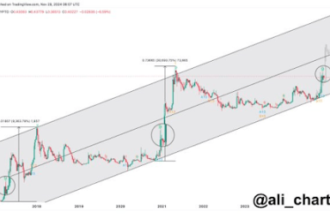 Dogecoin Price Completes First Bull Phase Similar To 2021, Here’s What Comes Next