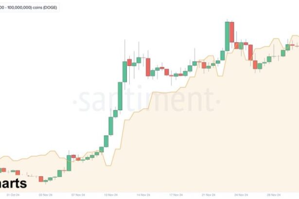 Dogecoin Whales Keep Buying – DOGE Metrics Reveal Demand Remains Strong