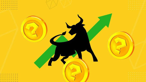 Don’t Miss Out on the 2025 Bull Run: Your Roadmap to Crypto Riches!