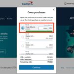 Easy Peasy: Using Capital One Miles to Cover Travel Purchases