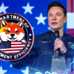 Elon Musk Reveals Next Step For D.O.G.E., Here’s All