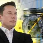 Elon Musk Shares DOGE Post Sparking Dogecoin Reserve Speculations