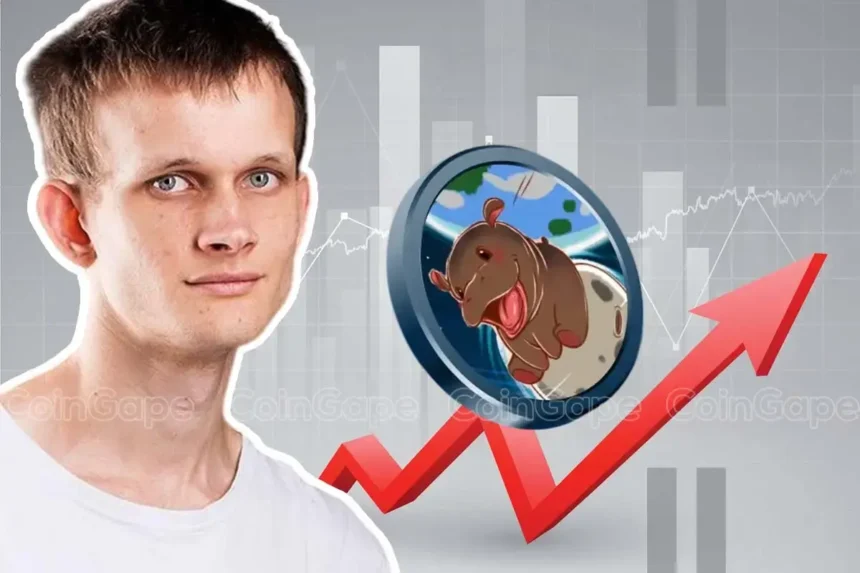 Ethereum Co-Founder Vitalik Buterin Adopts Hippo Moo Deng, Price Jumps 70%