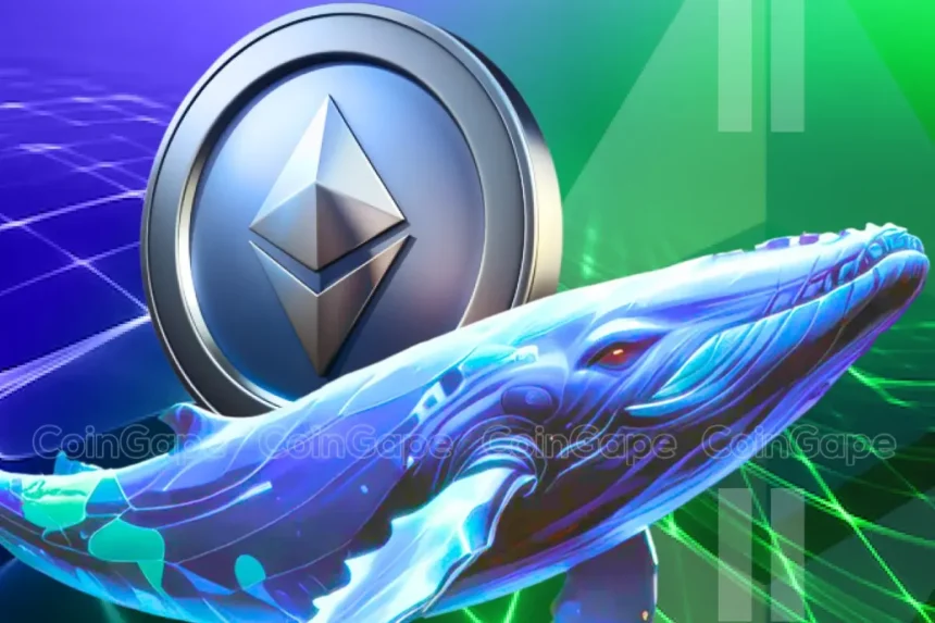 Ethereum Whale Buys 23K ETH Amid Recent Dip, What’s Next?