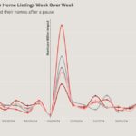 How has Tampa’s housing market fared since Hurricane Milton?