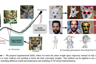 Hypernetwork Fields: Efficient Gradient-Driven Training for Scalable Neural Network Optimization