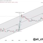 If History Repeats Dogecoin Has Potential For A Parabolic Rally – Details