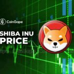 Is Shiba Inu Price Set for a Massive Rally After Bouncing Back From $0.0000185