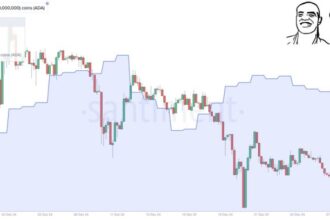 Metrics Reveal Cardano Whale Accumulation – Is ADA Poised For A Rally?