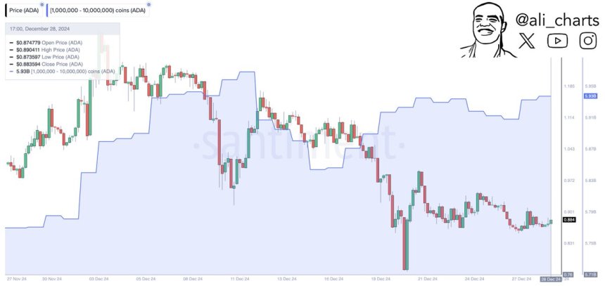 Metrics Reveal Cardano Whale Accumulation – Is ADA Poised For A Rally?