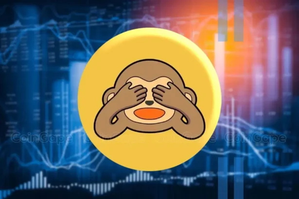 Monkey Airdrop Listing Date: What’s the Expected Price for MONKY Token?