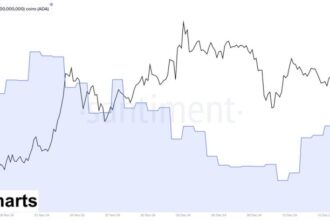 On-Chain Metrics Reveal Cardano Whales Are ‘Buying The Dip’ – Details