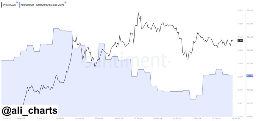 On-Chain Metrics Reveal Cardano Whales Are ‘Buying The Dip’ – Details