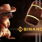 Peanut the Squirrel Case: Why Owner Takes Binance to Court