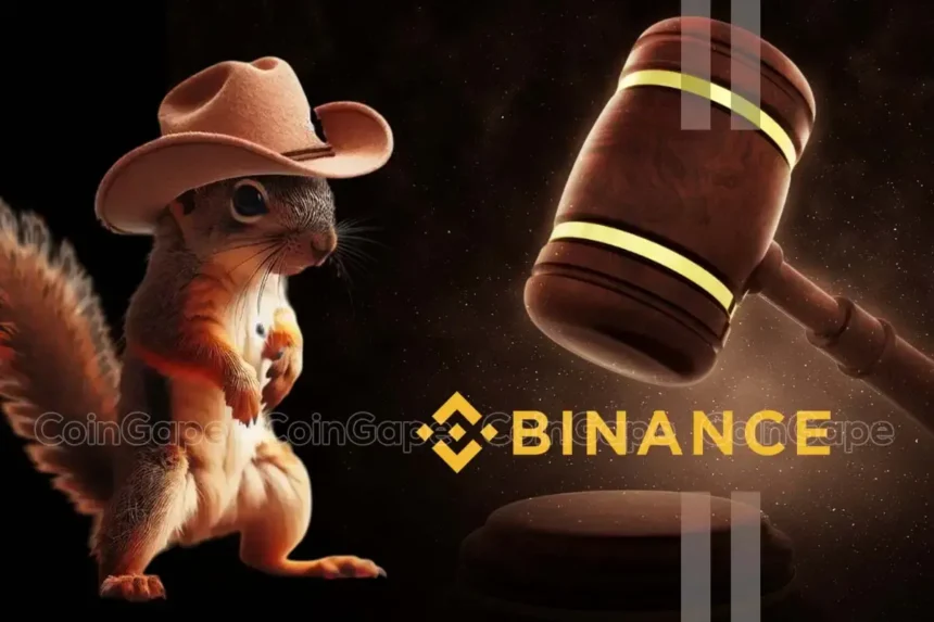 Peanut the Squirrel Case: Why Owner Takes Binance to Court