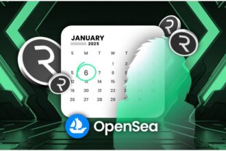 R0AR NFT Public Mint Set for January 6th: A New Chapter in Community-Driven DeFi