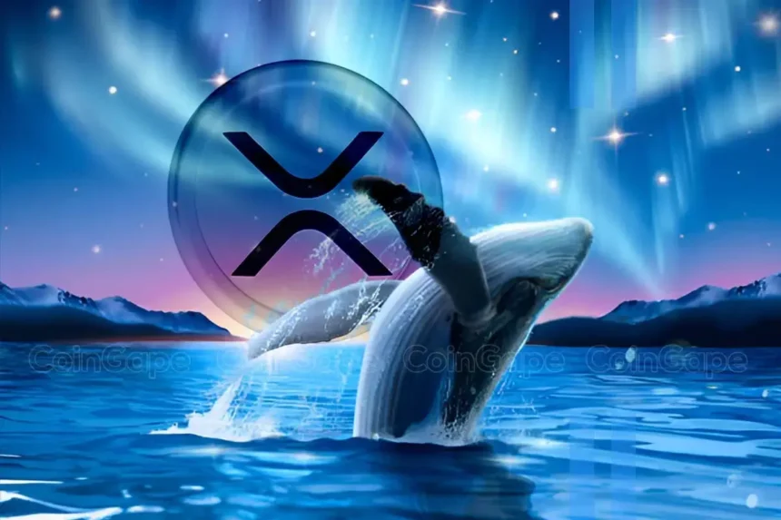 Ripple Whales Bag 100M XRP Amid Recent Dip, What’s Next?