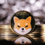 Shiba Inu-ekosystemet utvecklas: SHIB får korskedjekapacitet med Chainlink.