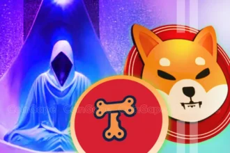 Shiba Inu Lead Shytoshi Kusama Confirms TREAT Launch Ahead, What’s Next?