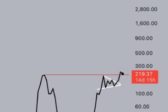 Solana Monthly Chart ‘Looks Ready For A Monster Run’ – Details