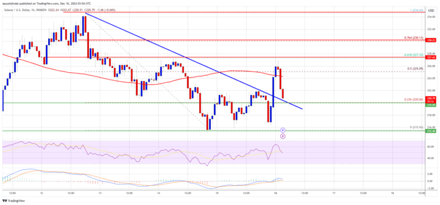 Solana (SOL) Faces Headwinds: Can Bulls Revive Momentum?